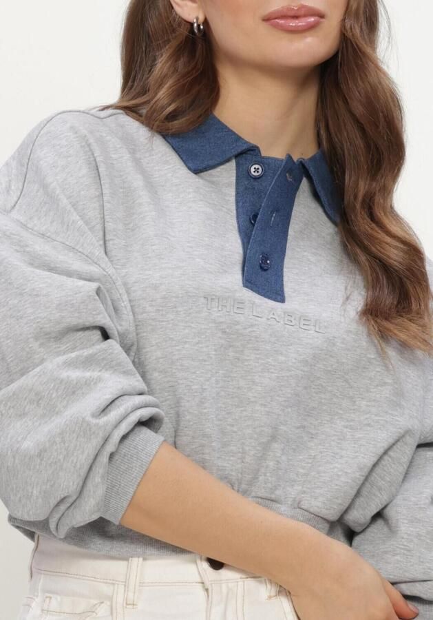 ALIX THE LABEL Dames Truien & Vesten Ladies Knitted Polo Sweater Grijs - Foto 4