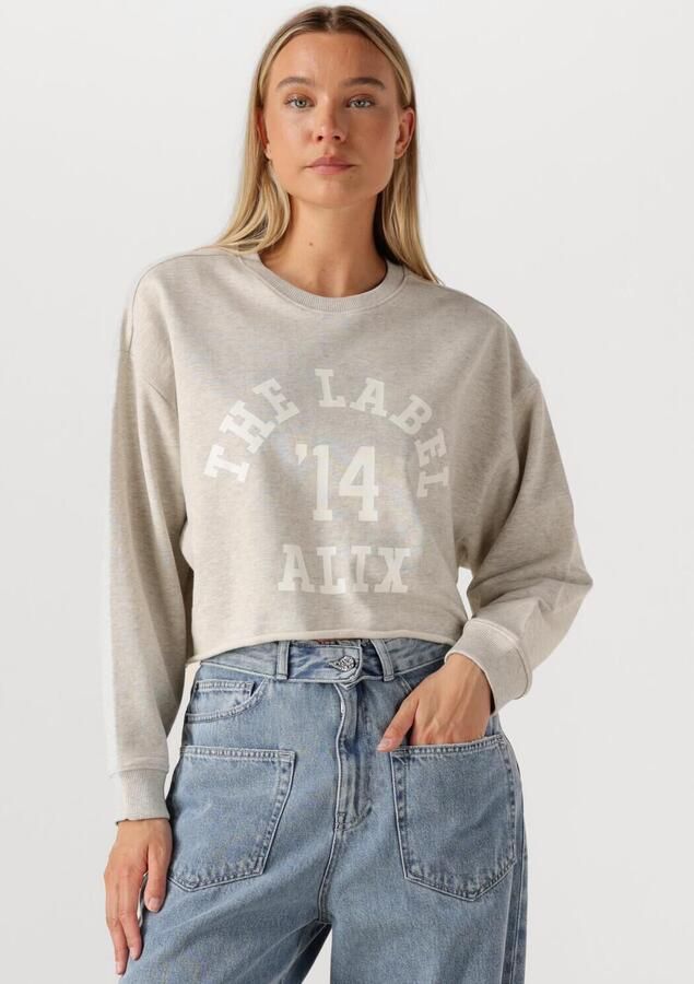 ALIX THE LABEL Dames Truien & Vesten Ladies Knitted Soft Sweater Lichtgrijs - Foto 4