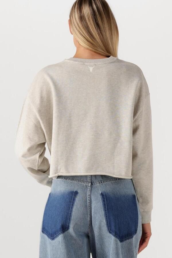 ALIX THE LABEL Dames Truien & Vesten Ladies Knitted Soft Sweater Lichtgrijs - Foto 3