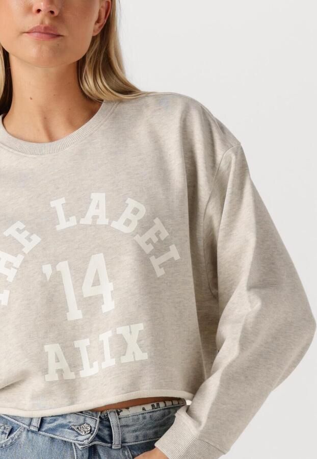 ALIX THE LABEL Dames Truien & Vesten Ladies Knitted Soft Sweater Lichtgrijs - Foto 2