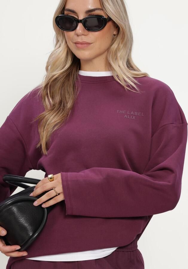 ALIX THE LABEL Dames Truien & Vesten Ladies Knitted The Label Sweater Bordeaux - Foto 3