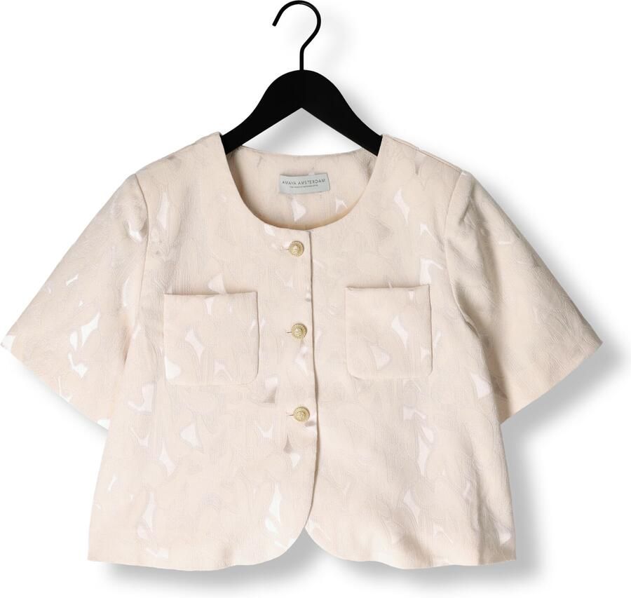 AMAYA AMSTERDAM Dames Blazers Silver Zilverkleurig