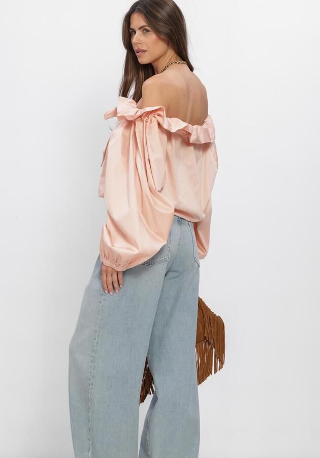 AMAYA AMSTERDAM Dames Blouses Dane Blouse Lichtroze - Foto 3