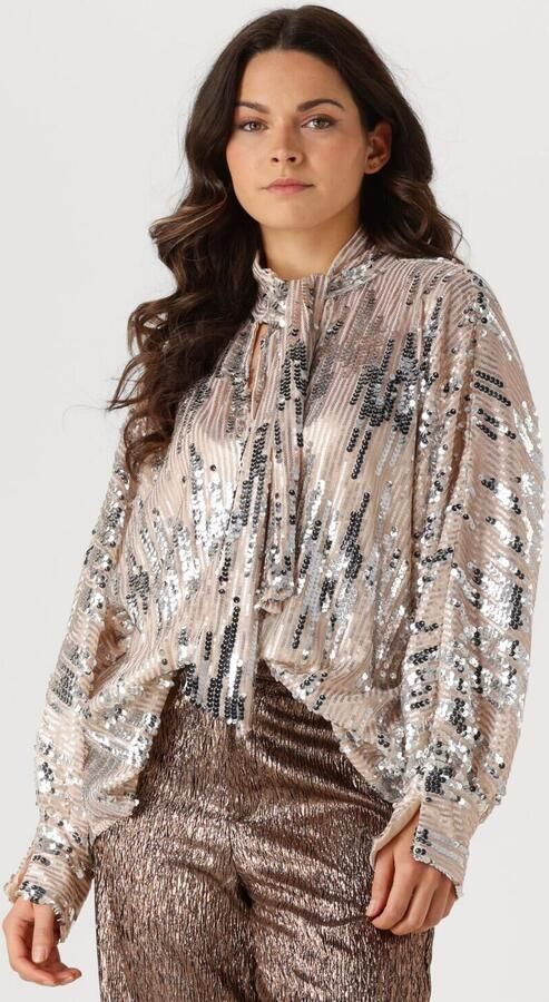 Amaya Amsterdam Glitter Blouse voor Glamoureuze Avonden Gray Dames - Foto 4