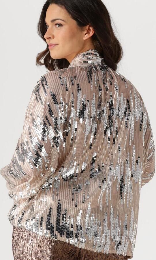 Amaya Amsterdam Glitter Blouse voor Glamoureuze Avonden Gray Dames - Foto 3