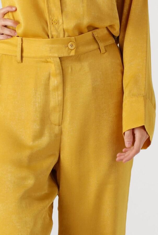 AMAYA AMSTERDAM Dames Broeken Bellini Pants Geel - Foto 2