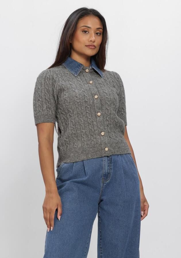AMAYA AMSTERDAM Dames Truien & Vesten Alou Knitwear Grijs