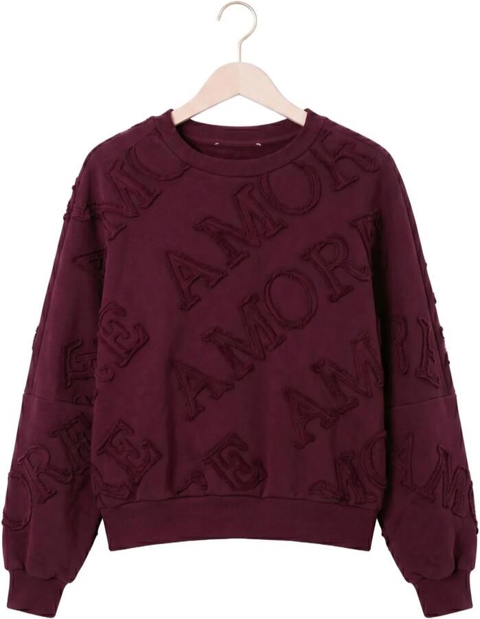 AMAYA AMSTERDAM Dames Truien & Vesten Amour Sweater Bordeaux - Foto 2