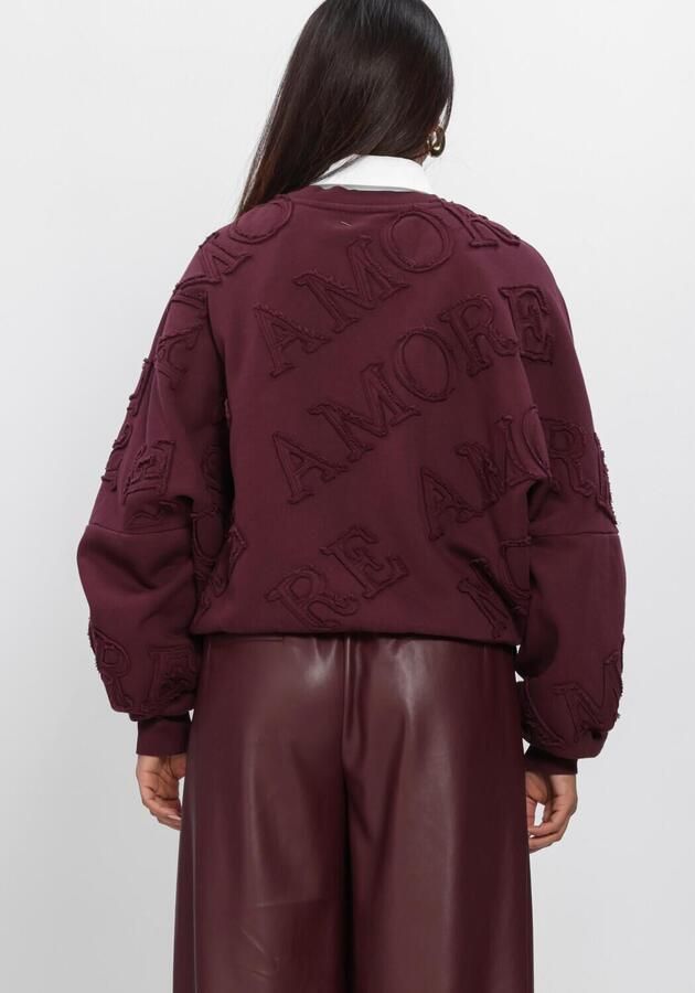 AMAYA AMSTERDAM Dames Truien & Vesten Amour Sweater Bordeaux - Foto 3