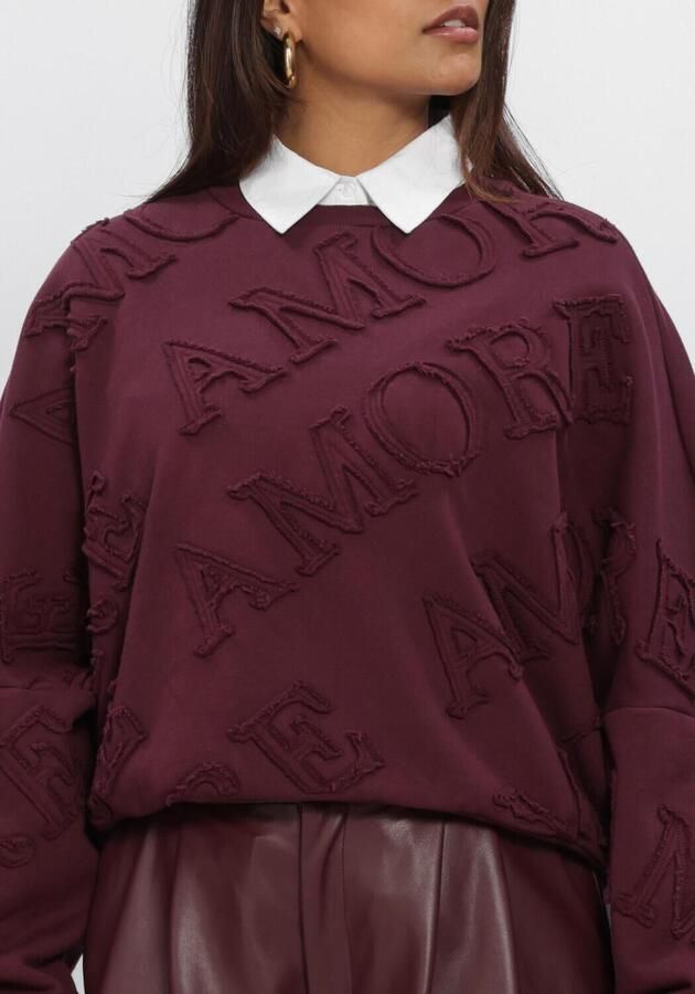 AMAYA AMSTERDAM Dames Truien & Vesten Amour Sweater Bordeaux - Foto 4