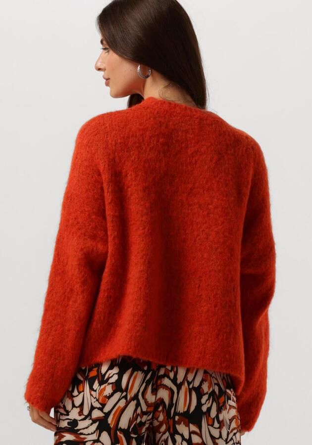 AMAYA AMSTERDAM Dames Truien & Vesten Bobbie Knitwear Oranje - Foto 2