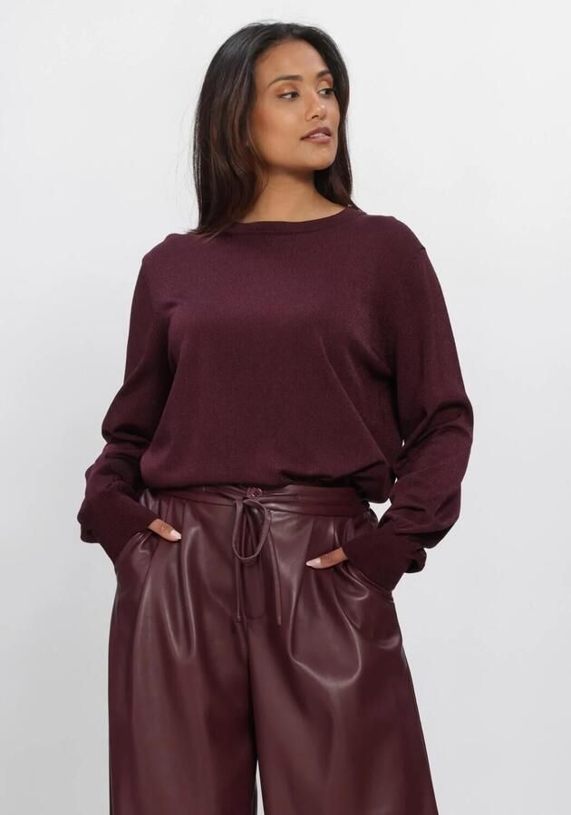 AMAYA AMSTERDAM Dames Truien & Vesten Jadyn Knitwear Bordeaux