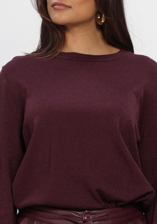 AMAYA AMSTERDAM Dames Truien & Vesten Jadyn Knitwear Bordeaux - Foto 3