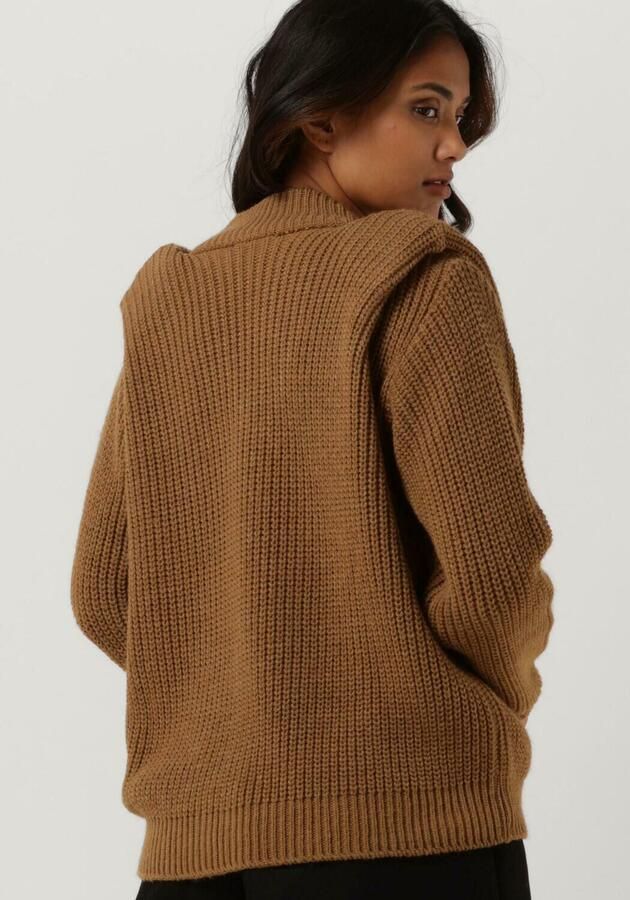 Amaya Amsterdam Jordan Gebreide Dames Truien & Vesten Brown Dames