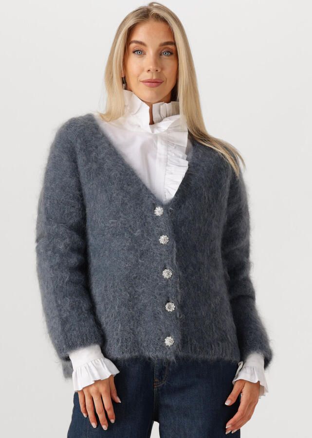 AMAYA AMSTERDAM Dames Truien & Vesten Roos Knitwear Donkergrijs - Foto 4