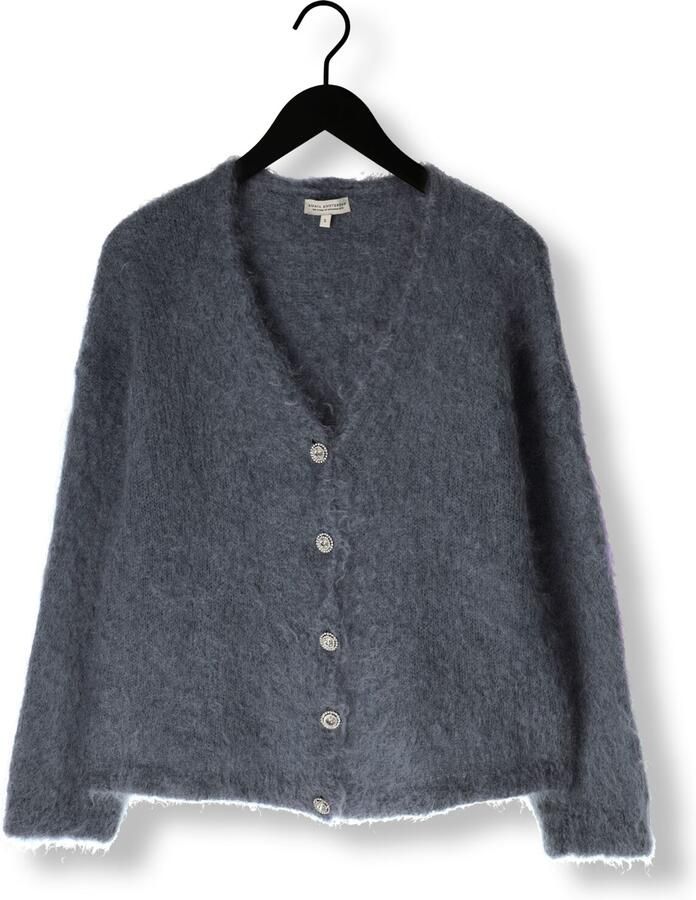 AMAYA AMSTERDAM Dames Truien & Vesten Roos Knitwear Donkergrijs