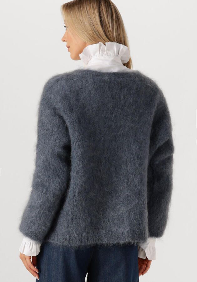 AMAYA AMSTERDAM Dames Truien & Vesten Roos Knitwear Donkergrijs - Foto 2