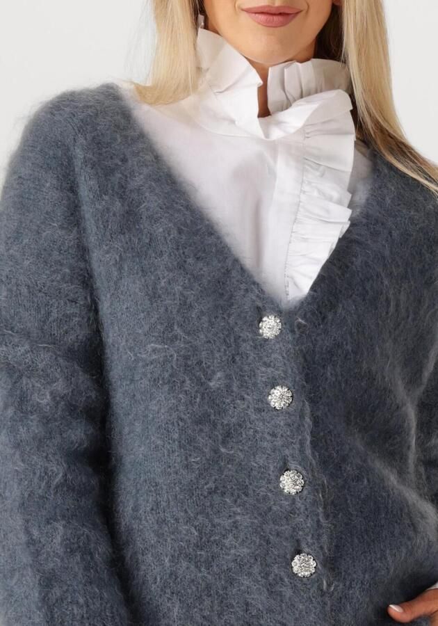 AMAYA AMSTERDAM Dames Truien & Vesten Roos Knitwear Donkergrijs - Foto 3