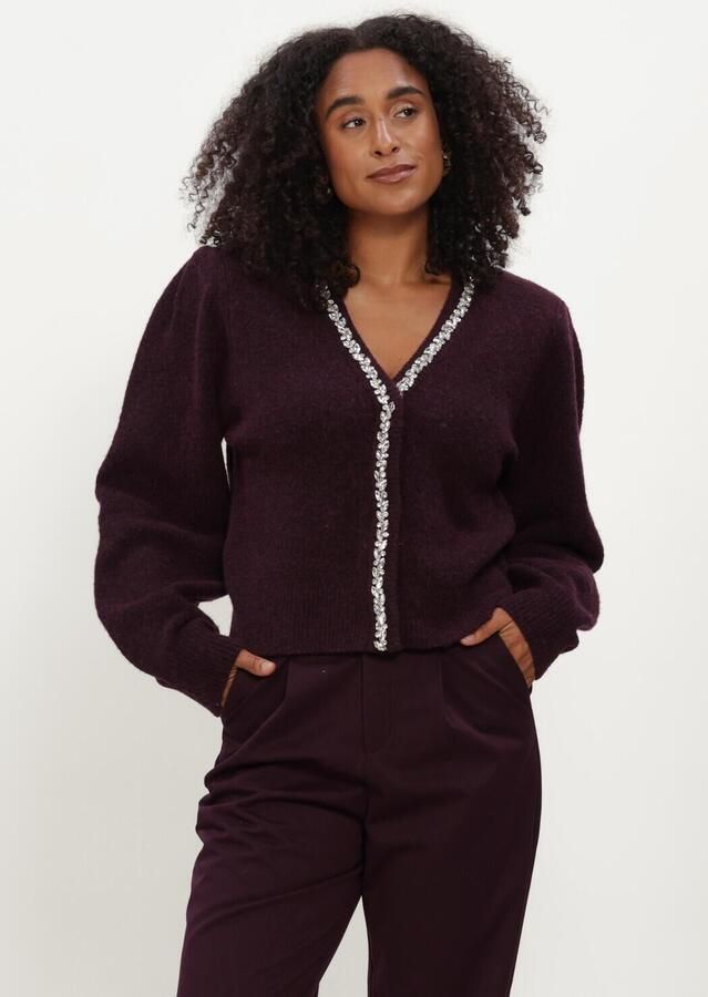 AMAYA AMSTERDAM Dames Truien & Vesten Sia Knitwear Bordeaux