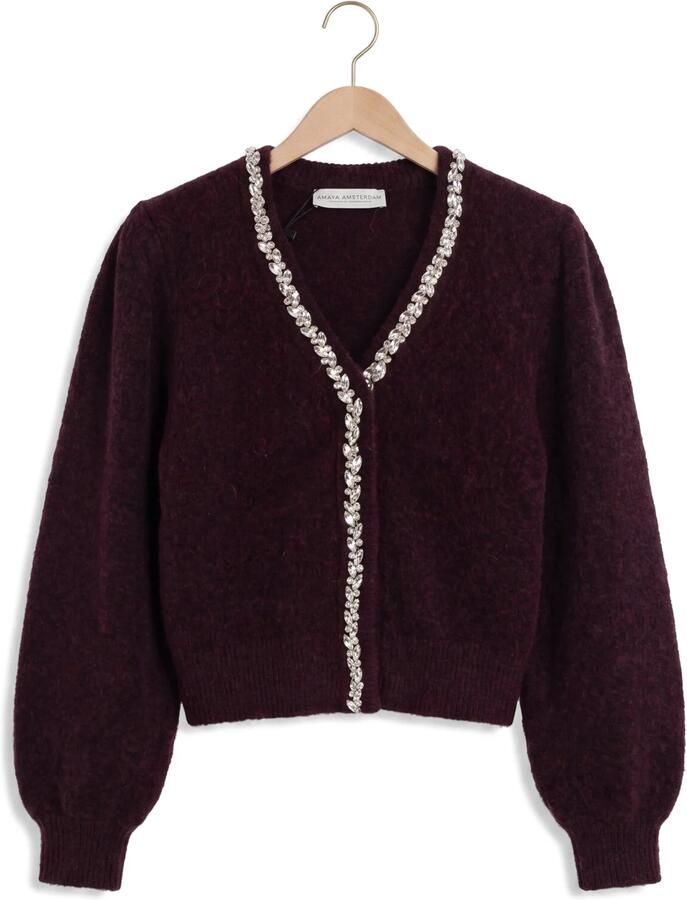 AMAYA AMSTERDAM Dames Truien & Vesten Sia Knitwear Bordeaux - Foto 2
