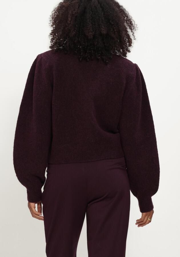 AMAYA AMSTERDAM Dames Truien & Vesten Sia Knitwear Bordeaux - Foto 3
