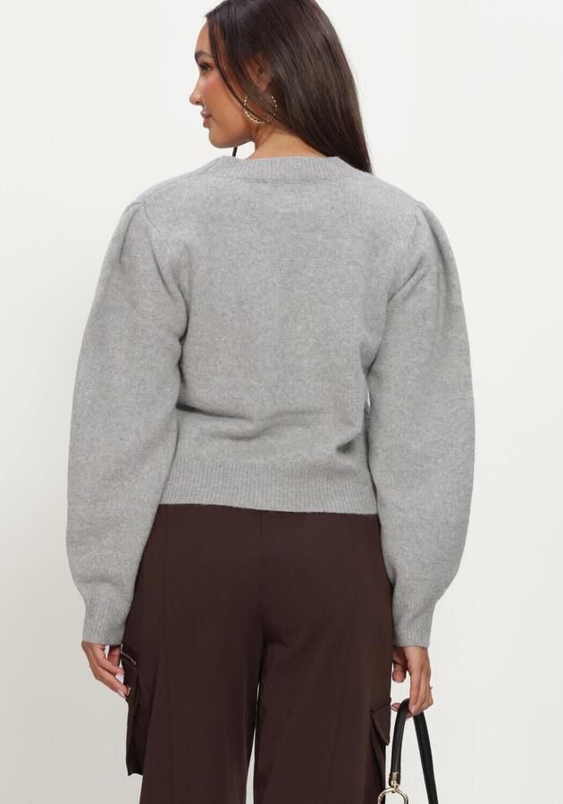 AMAYA AMSTERDAM Dames Truien & Vesten Sia Knitwear Lichtgrijs - Foto 3
