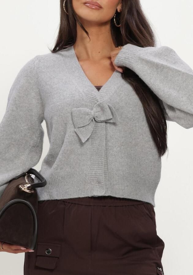 AMAYA AMSTERDAM Dames Truien & Vesten Sia Knitwear Lichtgrijs - Foto 4