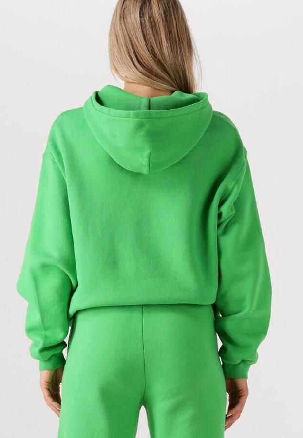 AMERICAN VINTAGE Dames Truien & Vesten Izubird S Groen - Foto 3