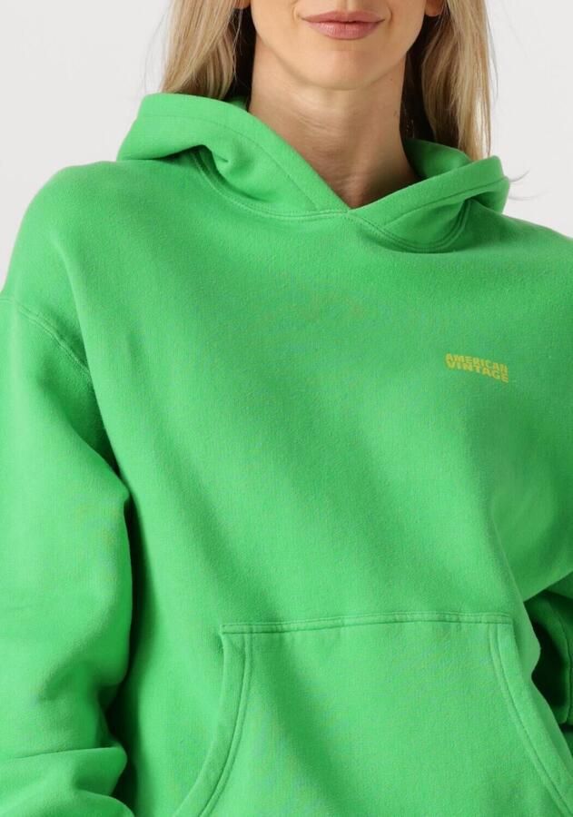 AMERICAN VINTAGE Dames Truien & Vesten Izubird S Groen