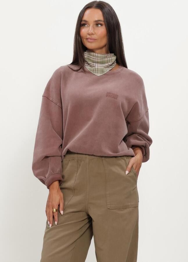 AMERICAN VINTAGE Dames Truien & Vesten Jitbay Lichtblauw