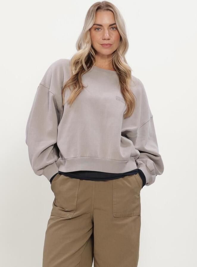 AMERICAN VINTAGE Dames Truien & Vesten Jitbay Taupe