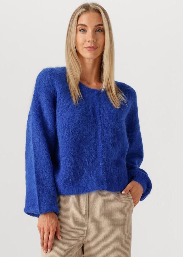 AMERICAN VINTAGE Dames Truien & Vesten Niby Blauw - Foto 4