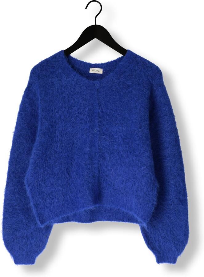 AMERICAN VINTAGE Dames Truien & Vesten Niby Blauw