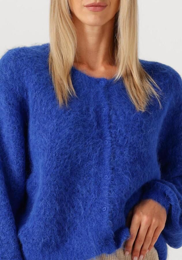 AMERICAN VINTAGE Dames Truien & Vesten Niby Blauw - Foto 2