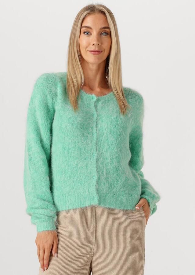 AMERICAN VINTAGE Dames Truien & Vesten Niby Mint - Foto 4