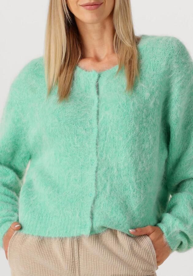 AMERICAN VINTAGE Dames Truien & Vesten Niby Mint