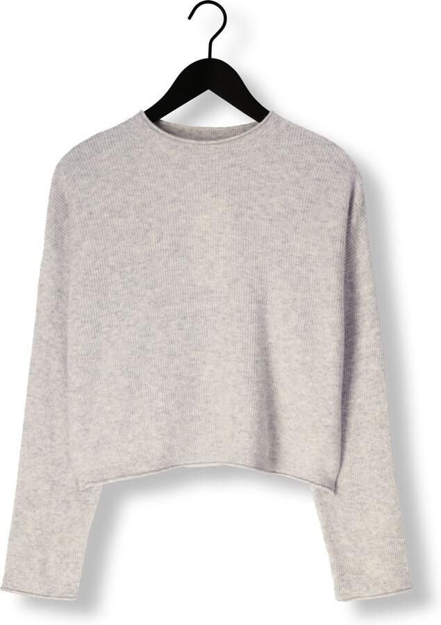 AMERICAN VINTAGE Dames Truien & Vesten Raxow Lichtgrijs