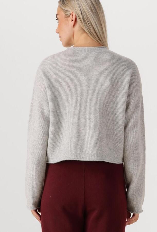 AMERICAN VINTAGE Dames Truien & Vesten Raxow Lichtgrijs - Foto 3