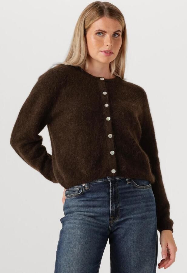 AMERICAN VINTAGE Dames Truien & Vesten Vitow Cardigan Bruin
