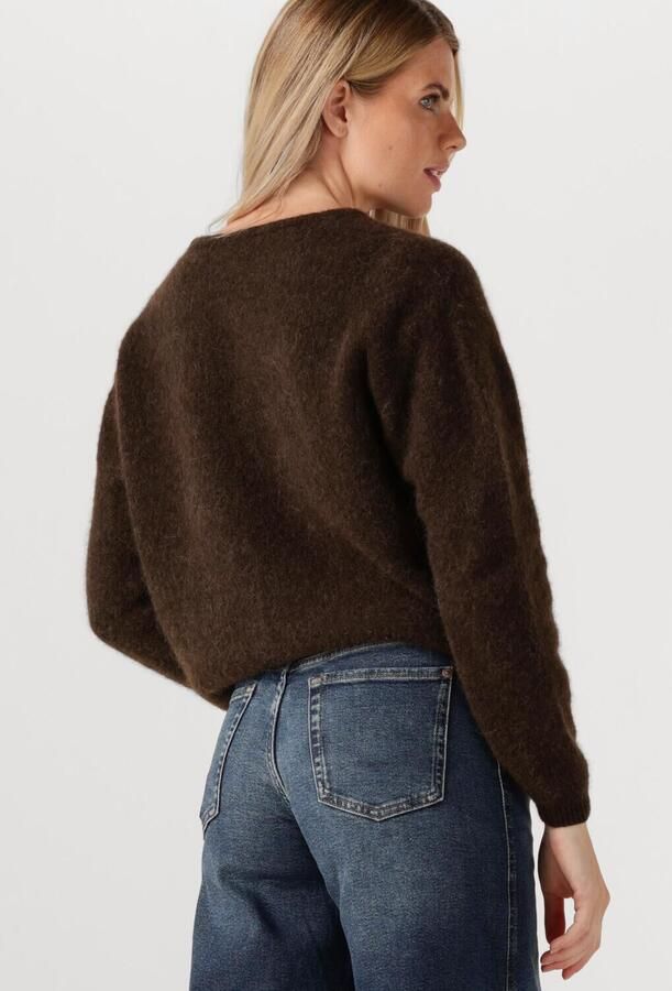 AMERICAN VINTAGE Dames Truien & Vesten Vitow Cardigan Bruin - Foto 4