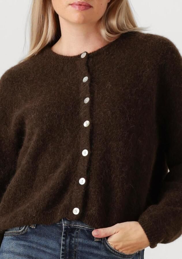 AMERICAN VINTAGE Dames Truien & Vesten Vitow Cardigan Bruin - Foto 3
