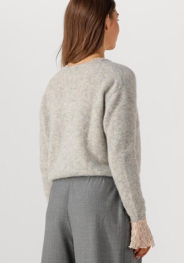 AMERICAN VINTAGE Dames Truien & Vesten Vitow Cardigan Lichtgrijs - Foto 2