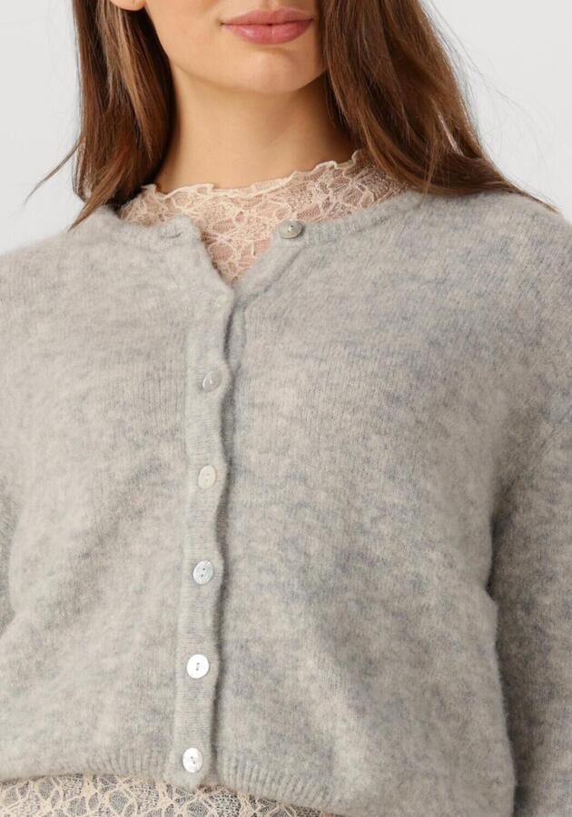 AMERICAN VINTAGE Dames Truien & Vesten Vitow Cardigan Lichtgrijs - Foto 3