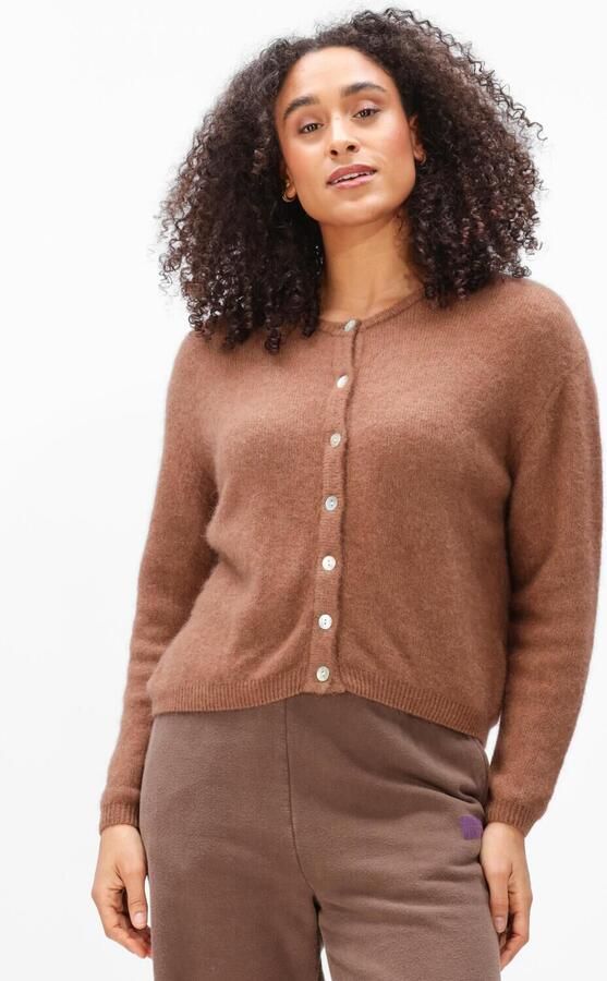 AMERICAN VINTAGE Dames Truien & Vesten Vitow.2 Bruin