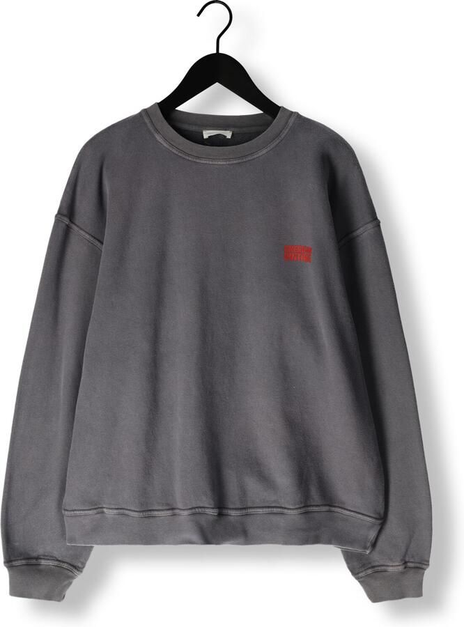 AMERICAN VINTAGE Heren Truien & Vesten Plizzy Crew Donkergrijs - Foto 2