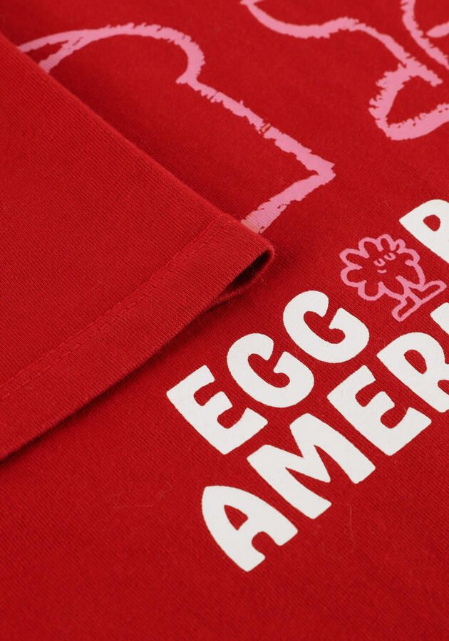 AMERICAN VINTAGE Jongens Polo's & T-shirts Fizvalley Rood