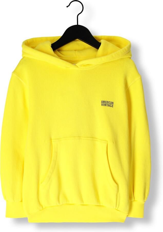 AMERICAN VINTAGE Meisjes Truien & Vesten Izubird Hoodie Geel - Foto 3