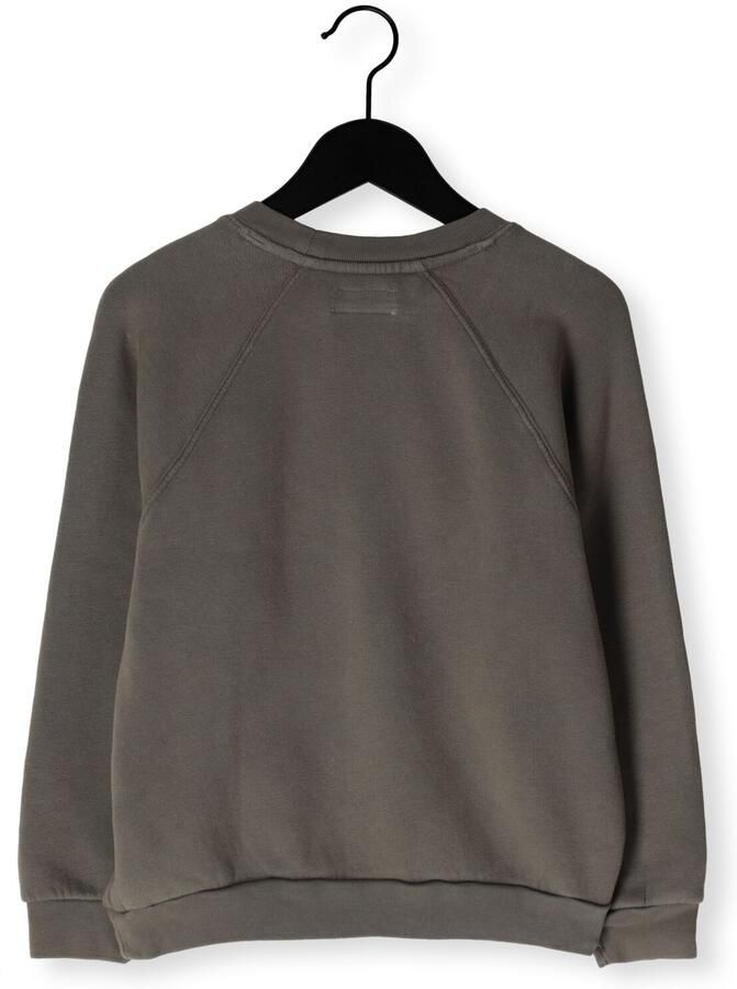 AMERICAN VINTAGE Meisjes Truien & Vesten Izubird Taupe - Foto 2
