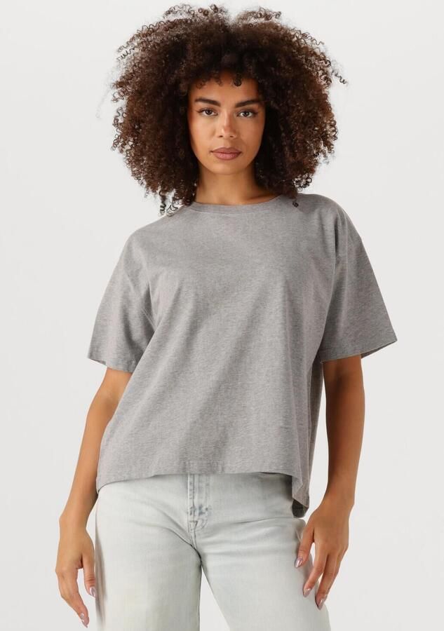 AMERICAN VINTAGE Merken Fizvalley Lichtgrijs - Foto 4