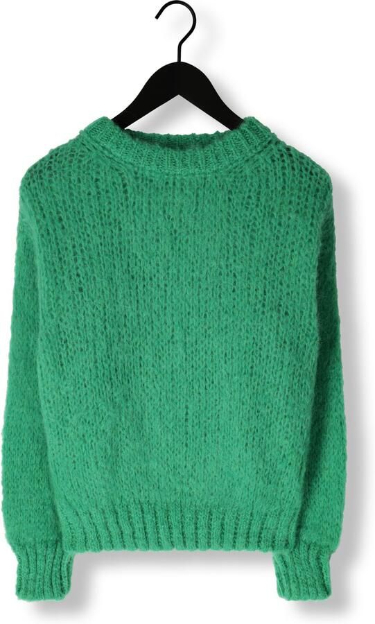 AMERICAN DREAMS Dames Truien & Vesten Leonnie Alpaca Pullover Groen - Foto 3